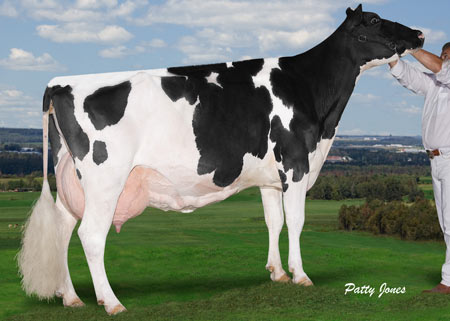 Comestar Model Mikey Laudan VG-87 1*
