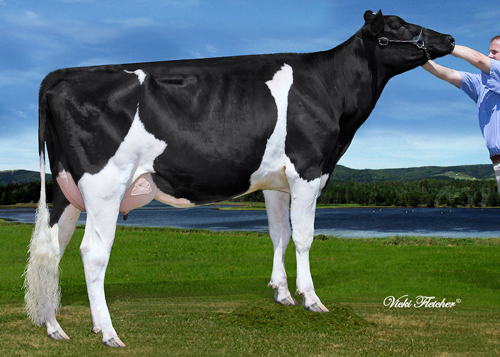 Riverbye Toystory Dixierose VG-87 1*