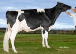 Amities Bolton Lauramie EX 3* (MS:92)