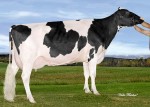 Amities F B I Laurie VG-88 1*